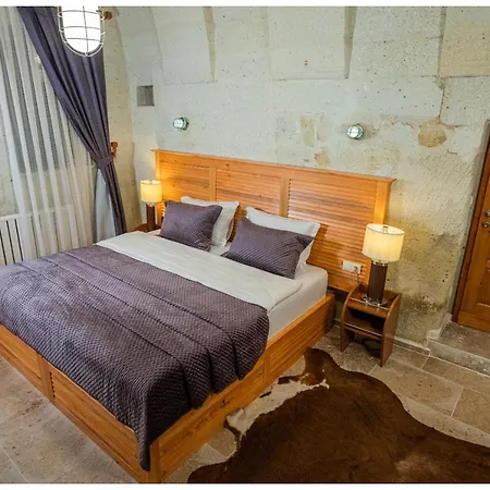 Bala Cave House *