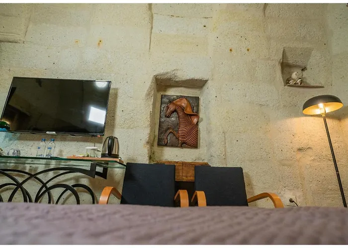 Hotel Bala Cave House